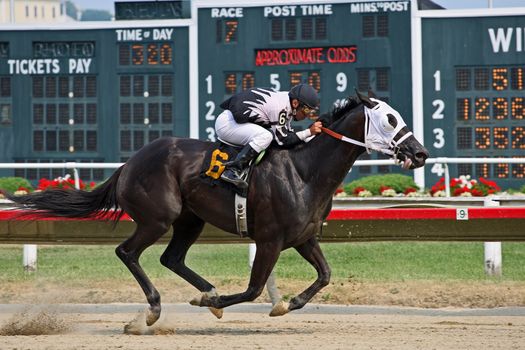 Master Sports Betting: Avoid Common Mistakes for Long-term Success