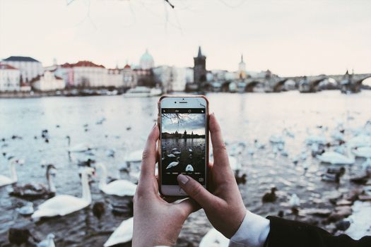 Top Mobile Casino Apps in the Czech Republic: A Comprehensive Review